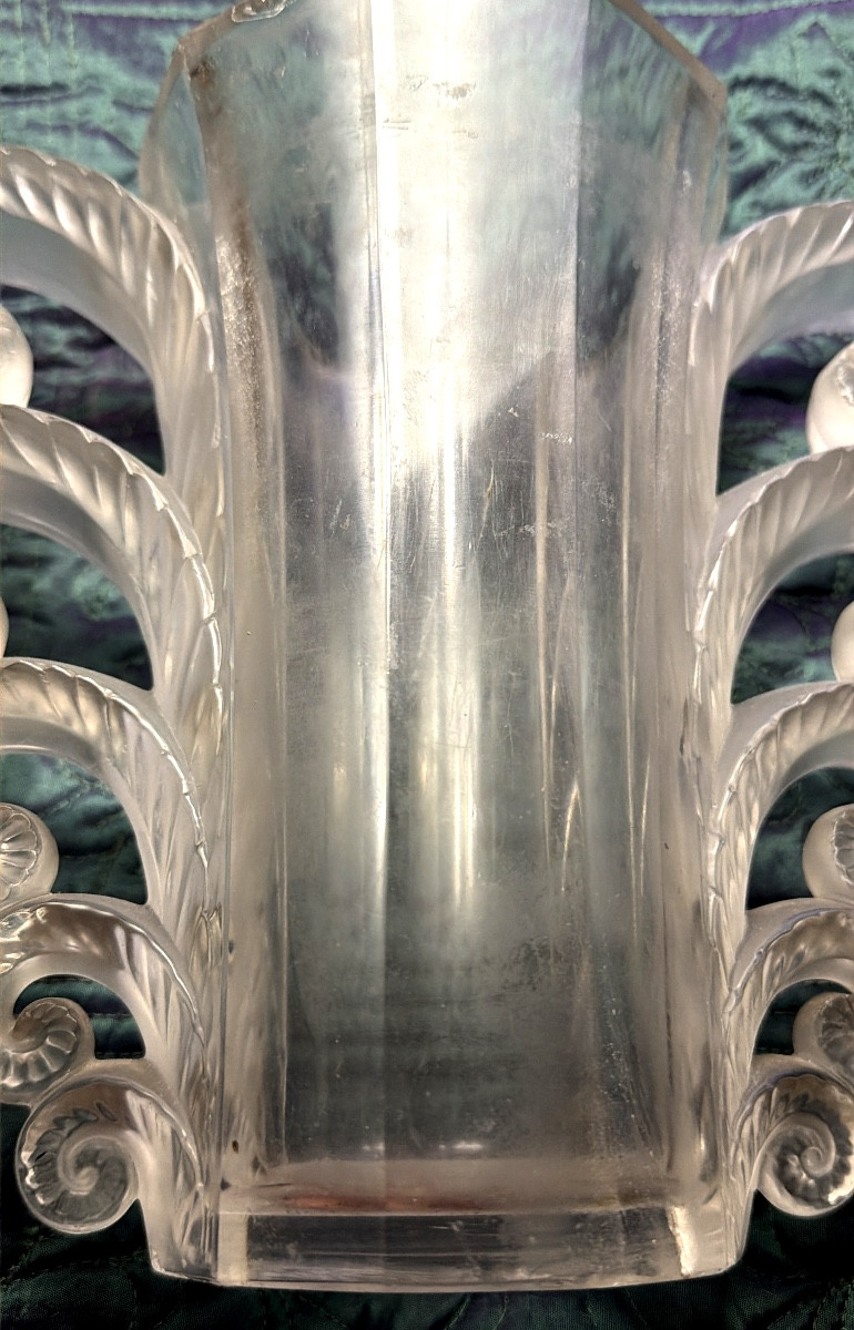 Beautiful And Famous Volute Vase: -photo-1