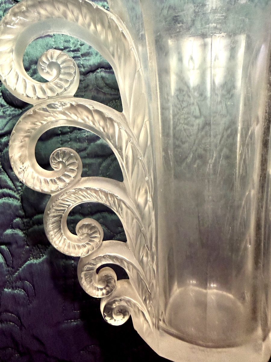 Beautiful And Famous Volute Vase: -photo-2