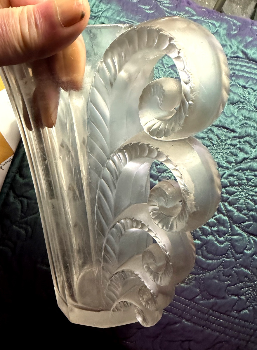 Beautiful And Famous Volute Vase: -photo-3