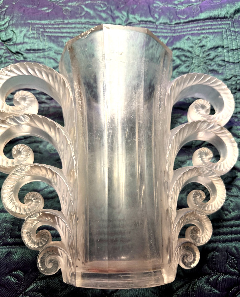 Beautiful And Famous Volute Vase: -photo-4