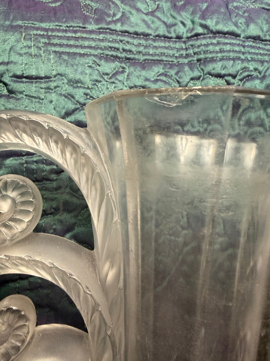 Beautiful And Famous Volute Vase: -photo-6