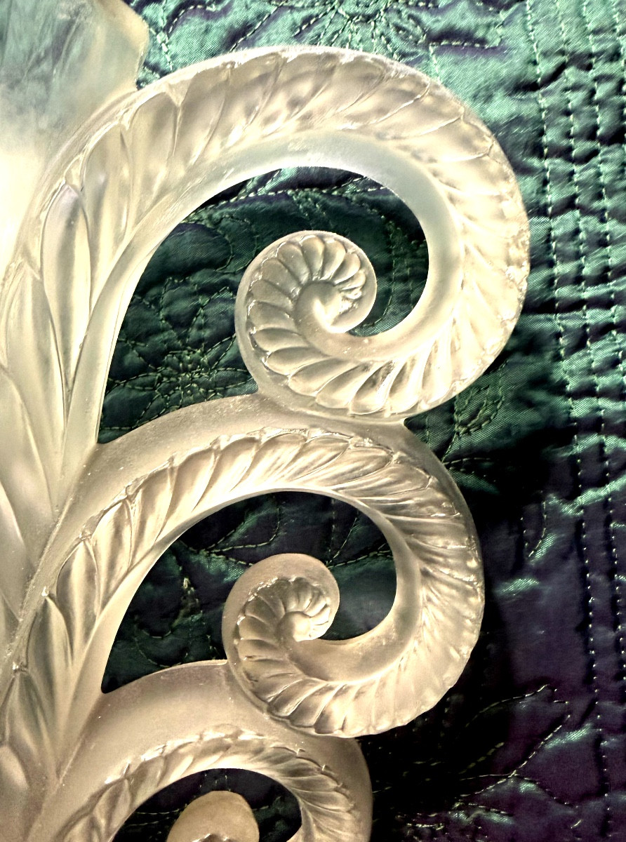 Beautiful And Famous Volute Vase: -photo-7