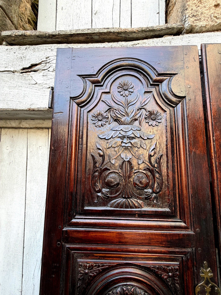 Rare Pair Of Richly Carved Walnut Cupboard Doors With Three Dark Patinated Louis XIV Panels-photo-2