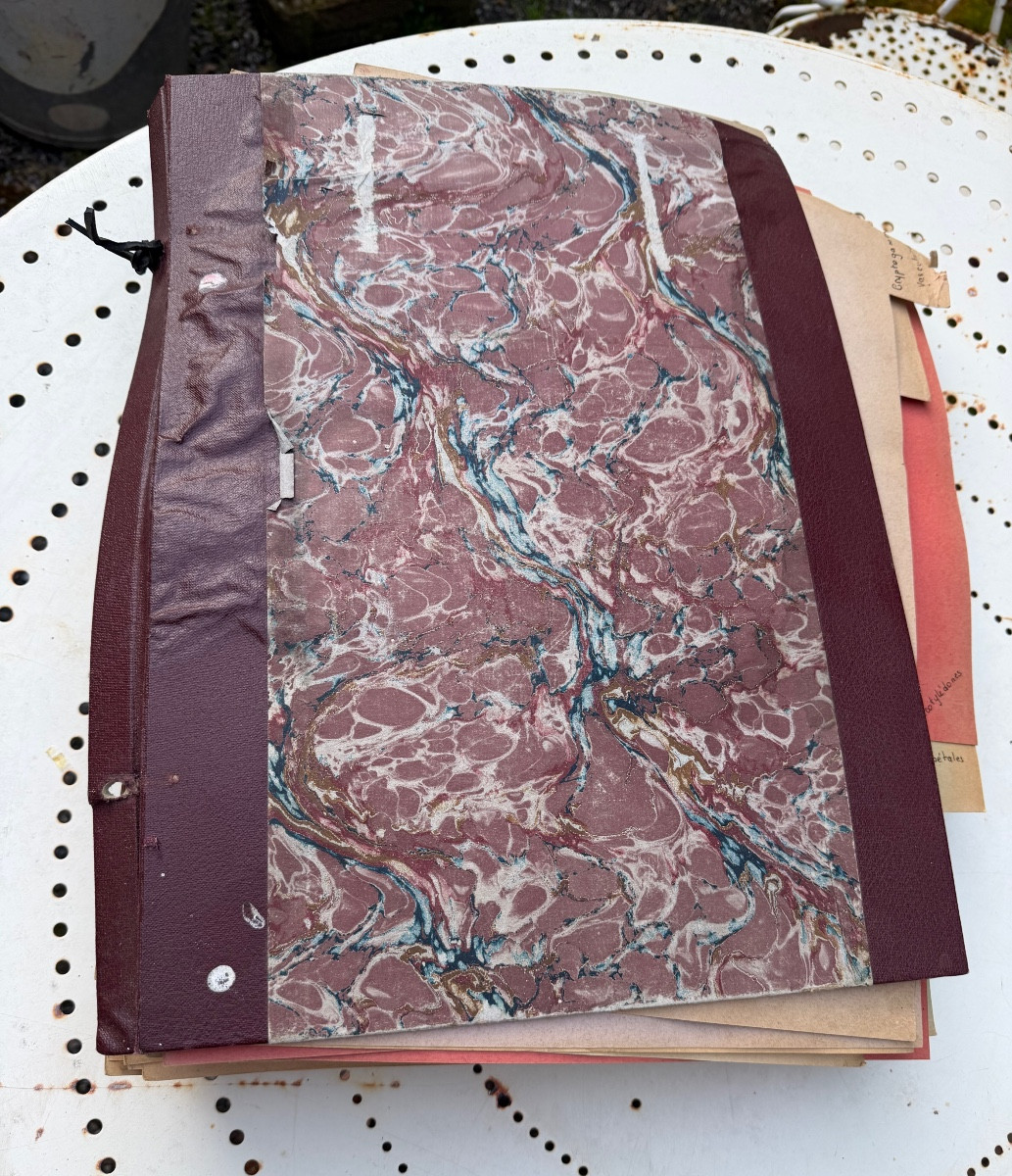 Beau grand Herbier d'Erudit en planches protégées et étiqueté d'époque début XXème sous chemise-photo-2