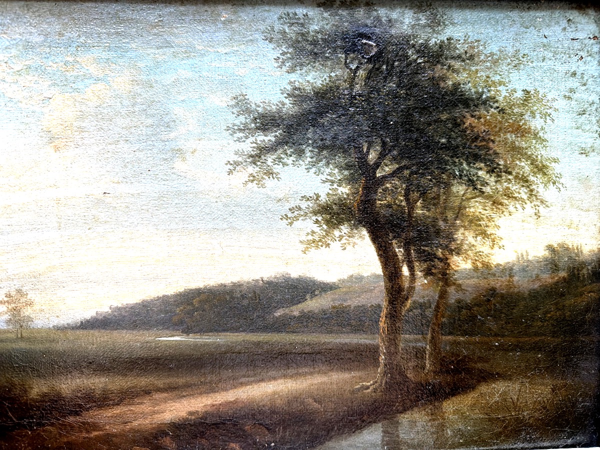 Joli paysage du" Tarn et Garonne", Vallée au soleil déclinant ,un bosquet d'arbres premier plan-photo-2