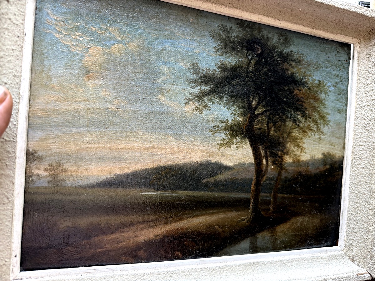 Joli paysage du" Tarn et Garonne", Vallée au soleil déclinant ,un bosquet d'arbres premier plan-photo-3