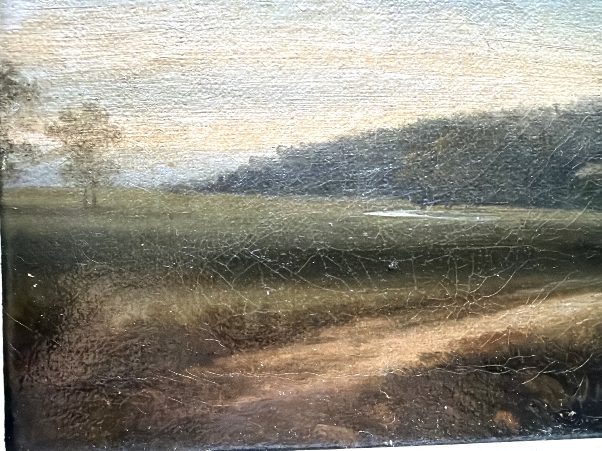 Joli paysage du" Tarn et Garonne", Vallée au soleil déclinant ,un bosquet d'arbres premier plan-photo-1