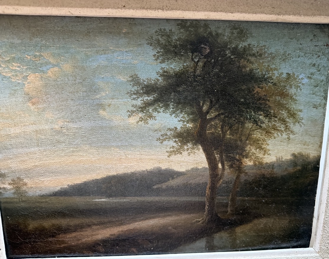 Joli paysage du" Tarn et Garonne", Vallée au soleil déclinant ,un bosquet d'arbres premier plan-photo-4