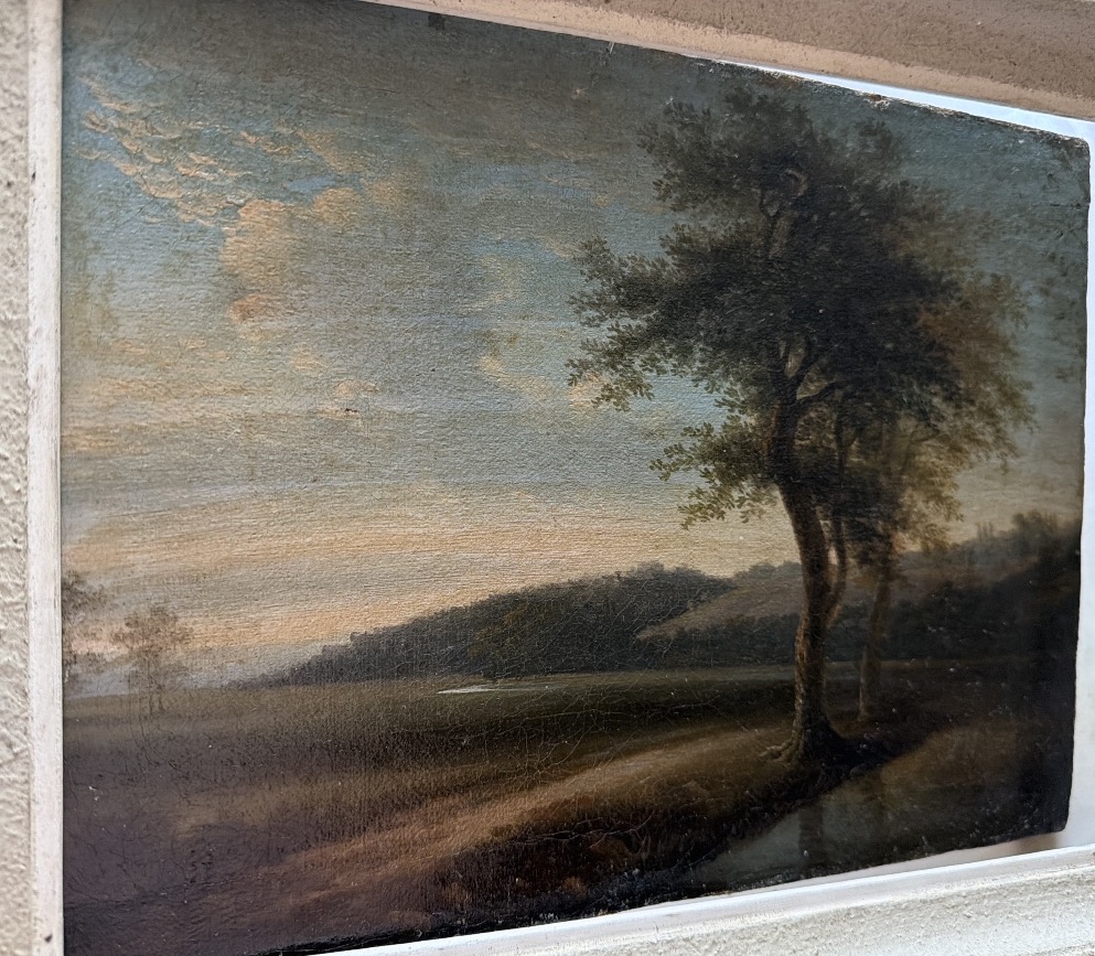 Joli paysage du" Tarn et Garonne", Vallée au soleil déclinant ,un bosquet d'arbres premier plan-photo-5