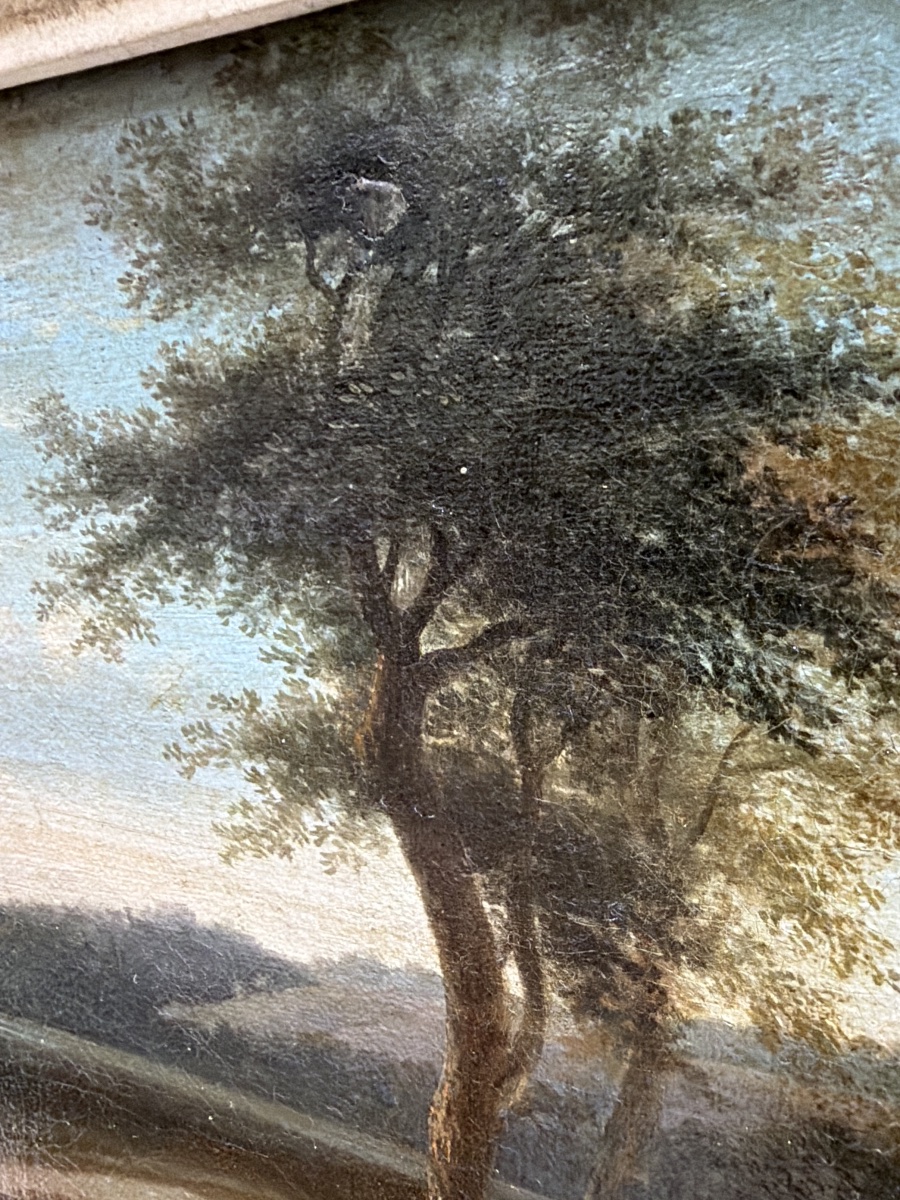 Joli paysage du" Tarn et Garonne", Vallée au soleil déclinant ,un bosquet d'arbres premier plan-photo-6
