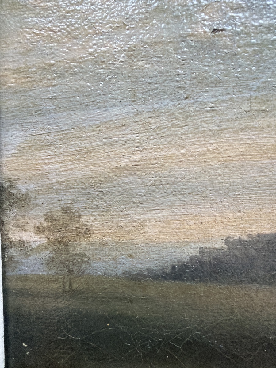 Joli paysage du" Tarn et Garonne", Vallée au soleil déclinant ,un bosquet d'arbres premier plan-photo-7