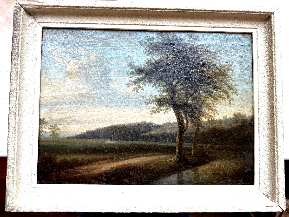 Joli paysage du" Tarn et Garonne", Vallée au soleil déclinant ,un bosquet d'arbres premier plan
