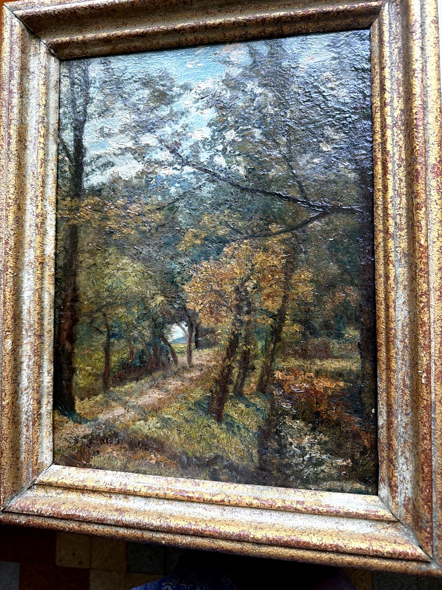 Autumn Path In The Forest From The 1930s-photo-2
