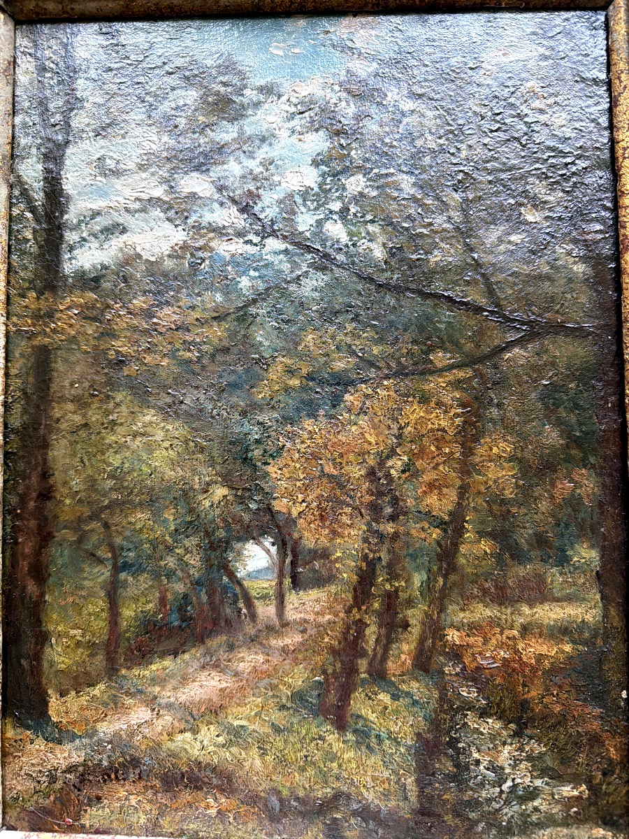 Autumn Path In The Forest From The 1930s-photo-3