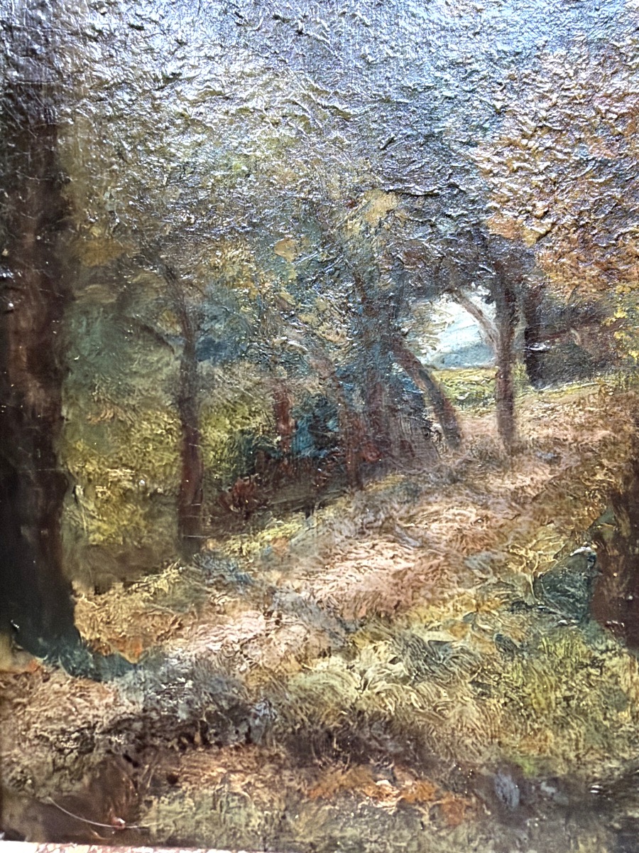Autumn Path In The Forest From The 1930s-photo-1