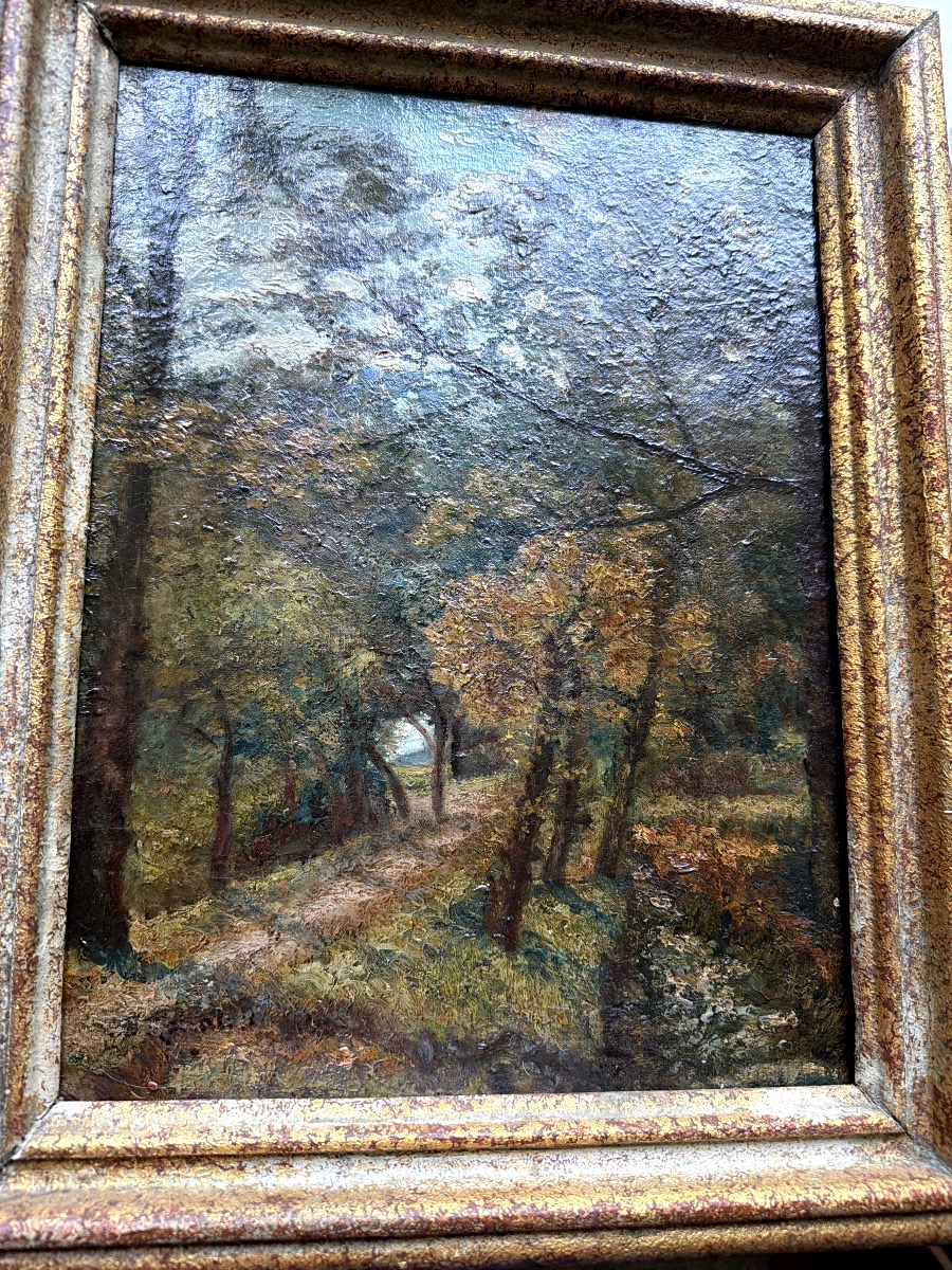 Autumn Path In The Forest From The 1930s-photo-2