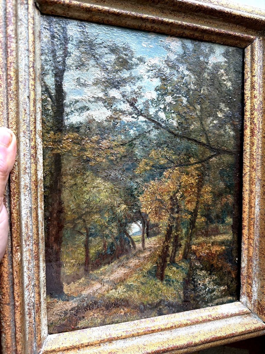 Autumn Path In The Forest From The 1930s-photo-7