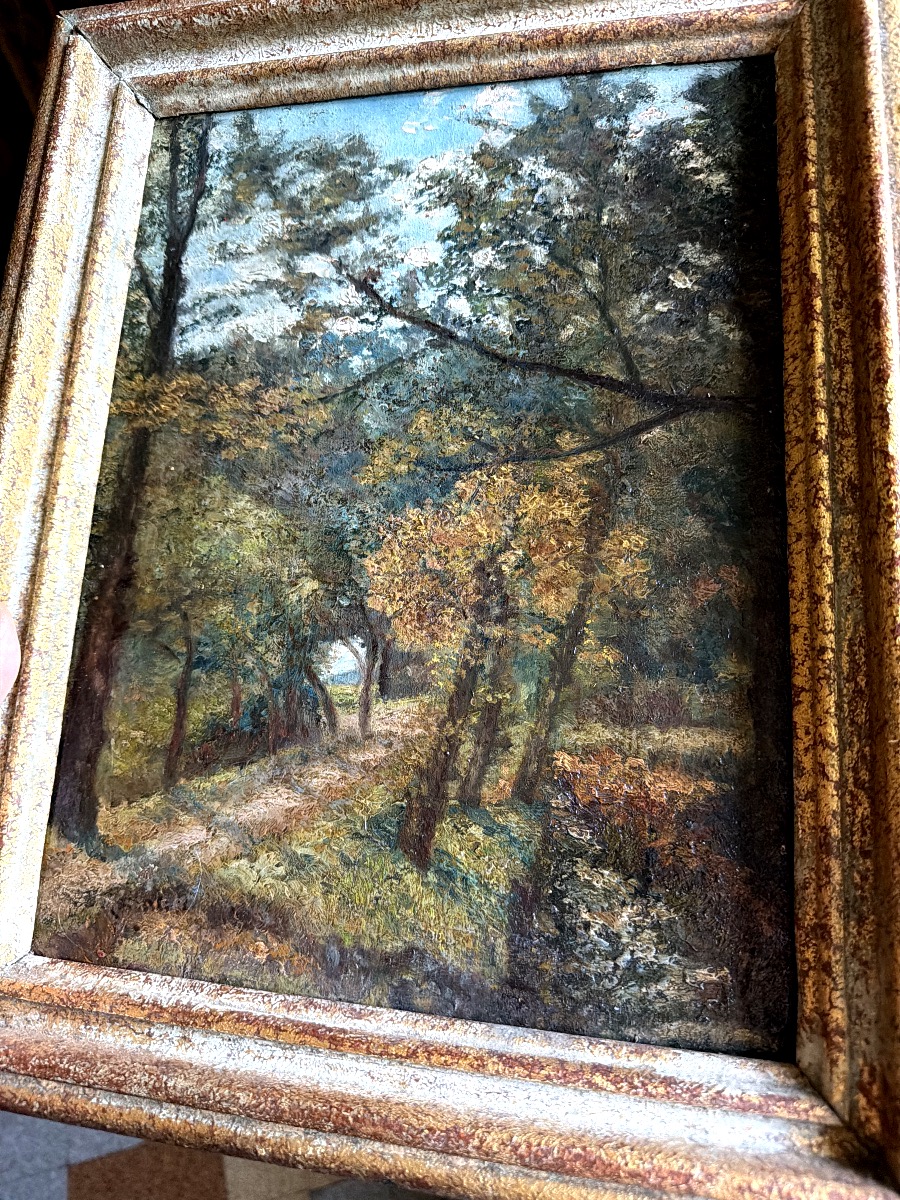 Autumn Path In The Forest From The 1930s-photo-8