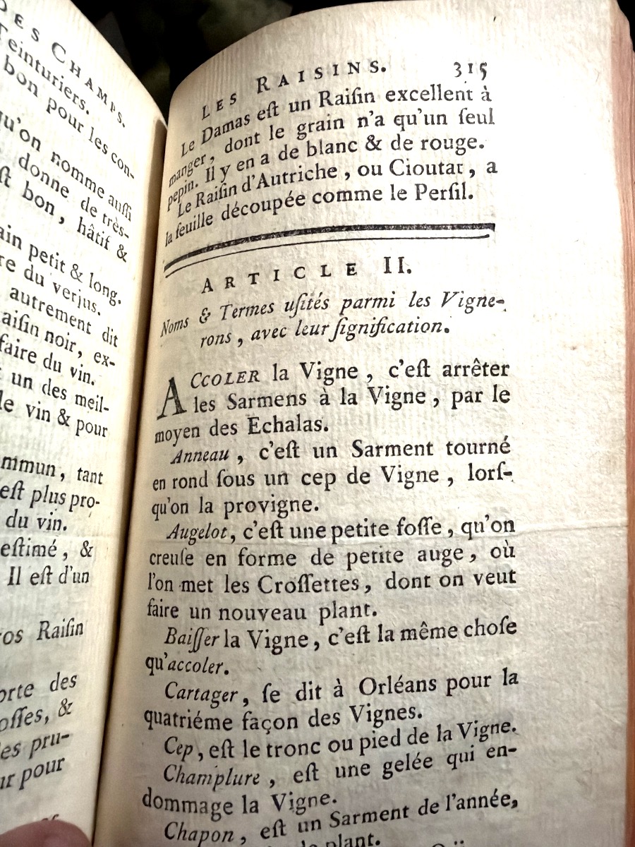 Bel exemplaire Gd In12 : Manuel des Champs (Agriculture-Chasse et Pêche),  1769. De Chanvalon-photo-6