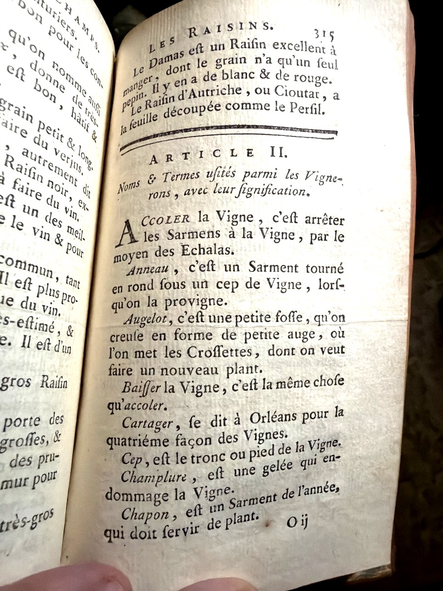 Bel exemplaire Gd In12 : Manuel des Champs (Agriculture-Chasse et Pêche),  1769. De Chanvalon-photo-7