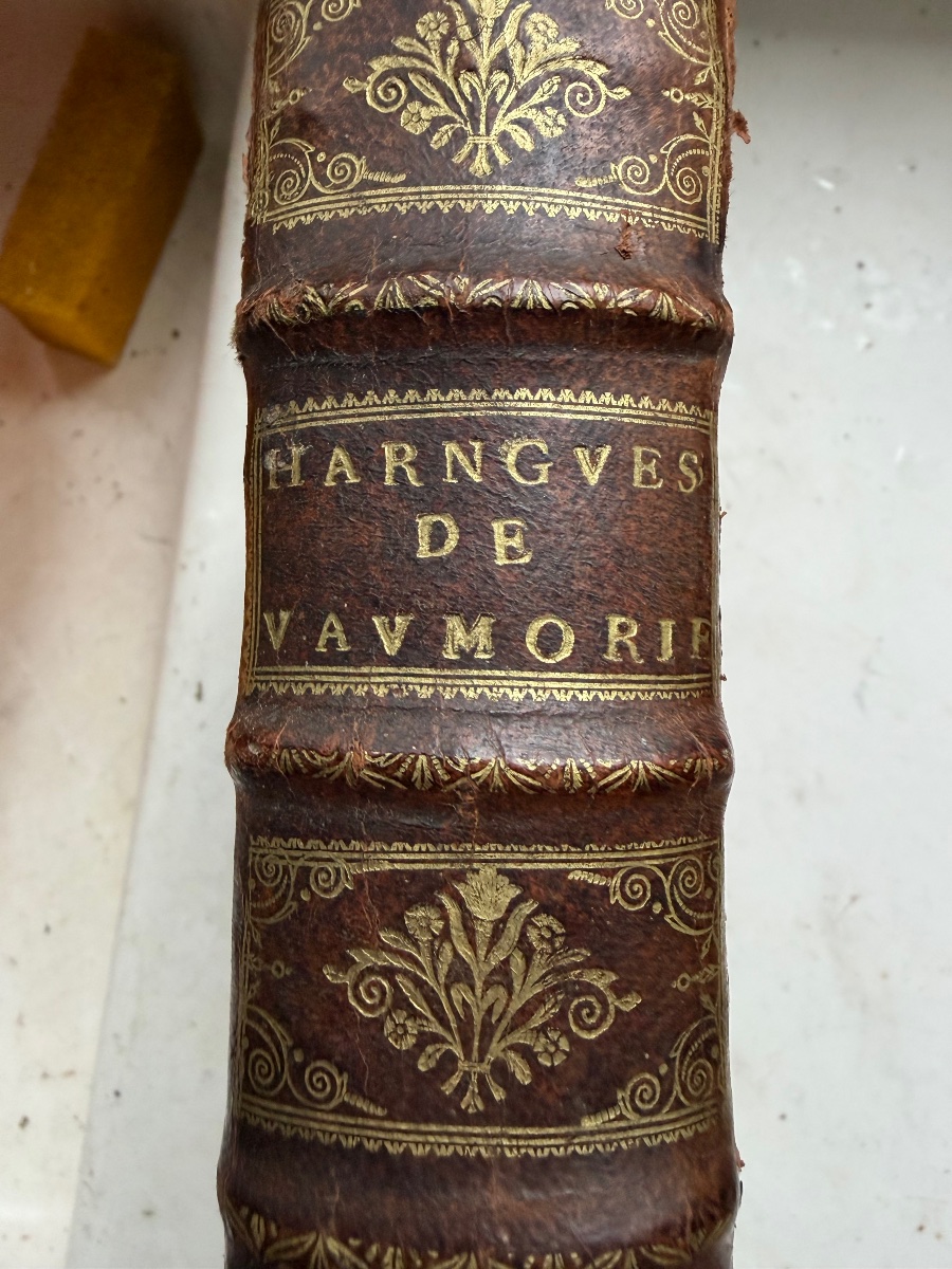Haranguer  De Vaumorière-photo-2