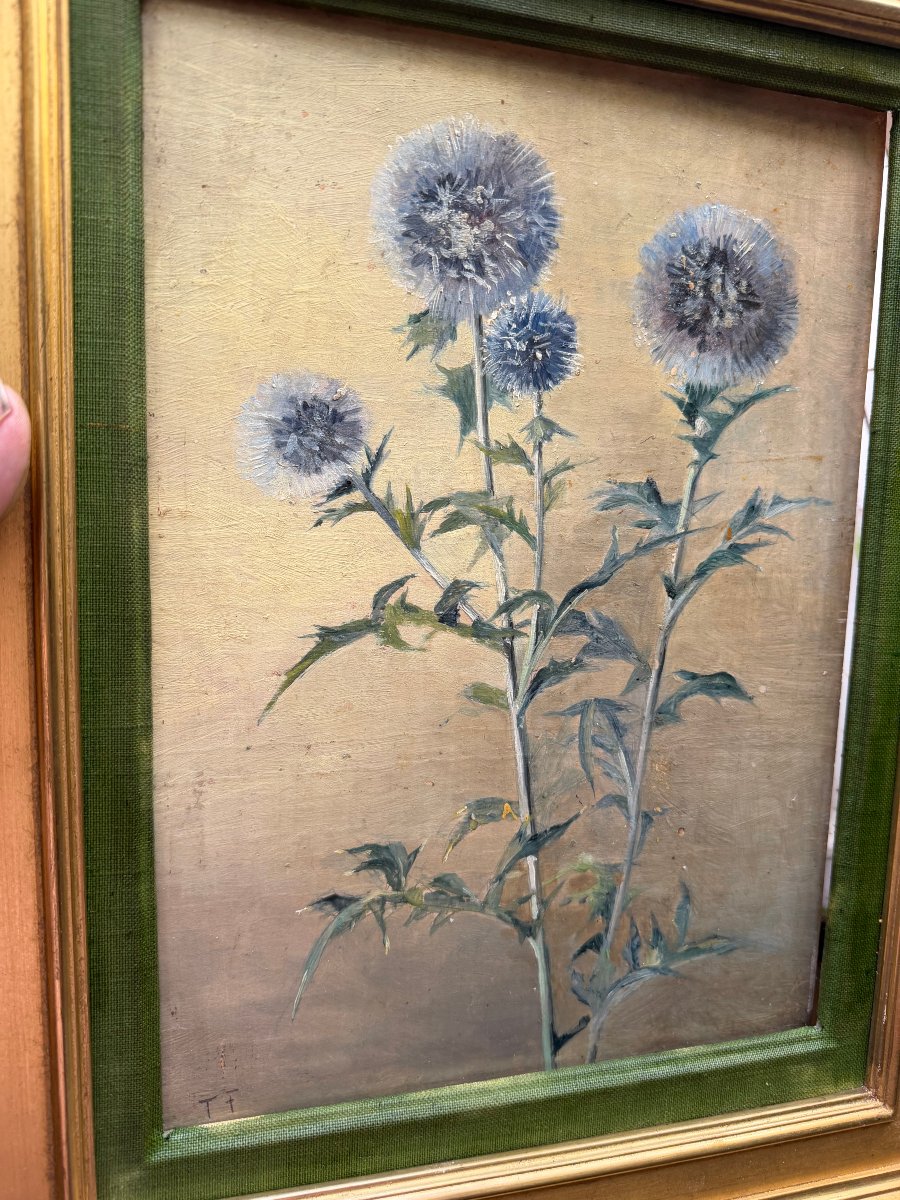 Fleurs de Chardons , huile/toile des années "60" bien encadrée: de Th. Franzoni , Galerie Cardo-photo-3