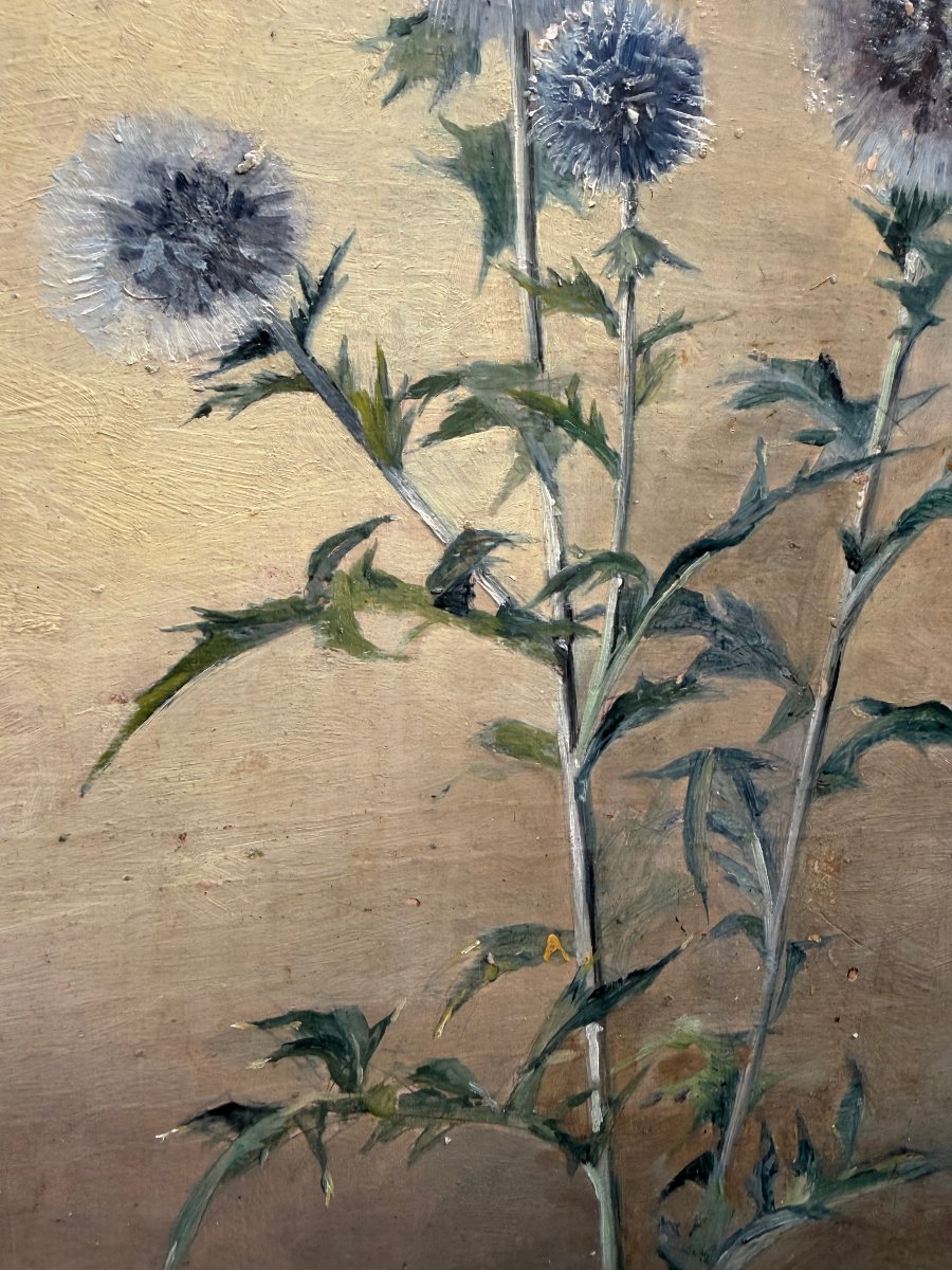 Fleurs de Chardons , huile/toile des années "60" bien encadrée: de Th. Franzoni , Galerie Cardo-photo-1