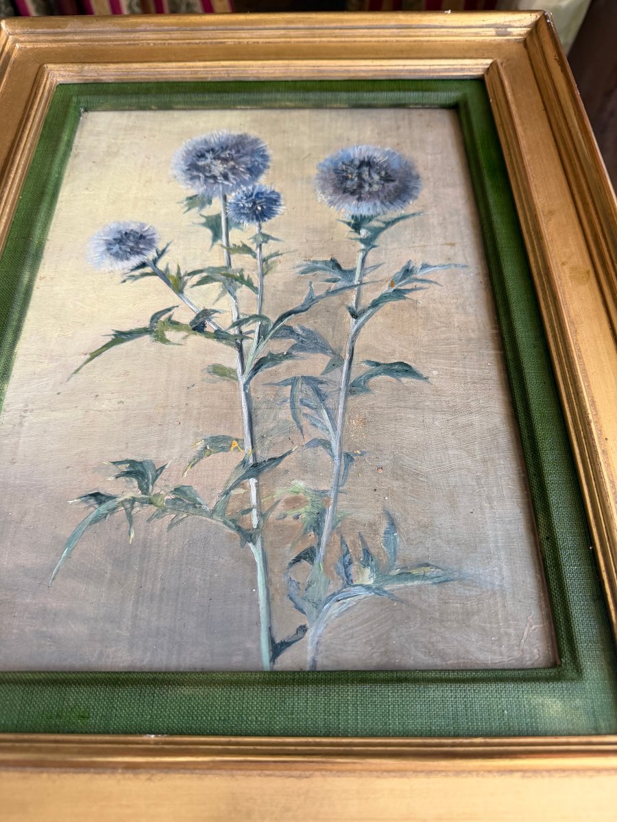 Fleurs de Chardons , huile/toile des années "60" bien encadrée: de Th. Franzoni , Galerie Cardo-photo-4