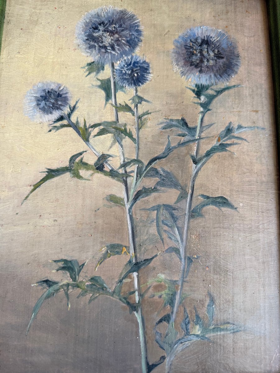 Fleurs de Chardons , huile/toile des années "60" bien encadrée: de Th. Franzoni , Galerie Cardo-photo-6