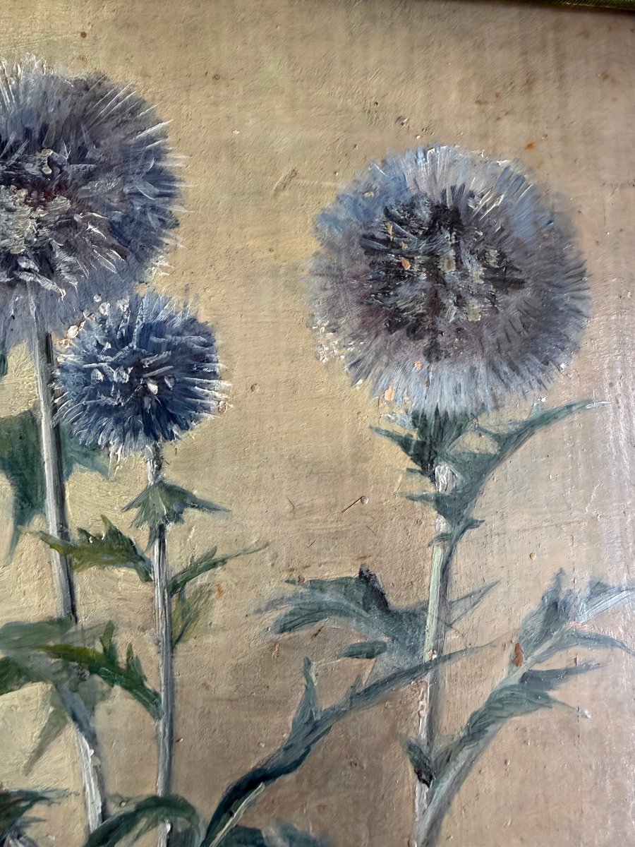 Fleurs de Chardons , huile/toile des années "60" bien encadrée: de Th. Franzoni , Galerie Cardo-photo-7