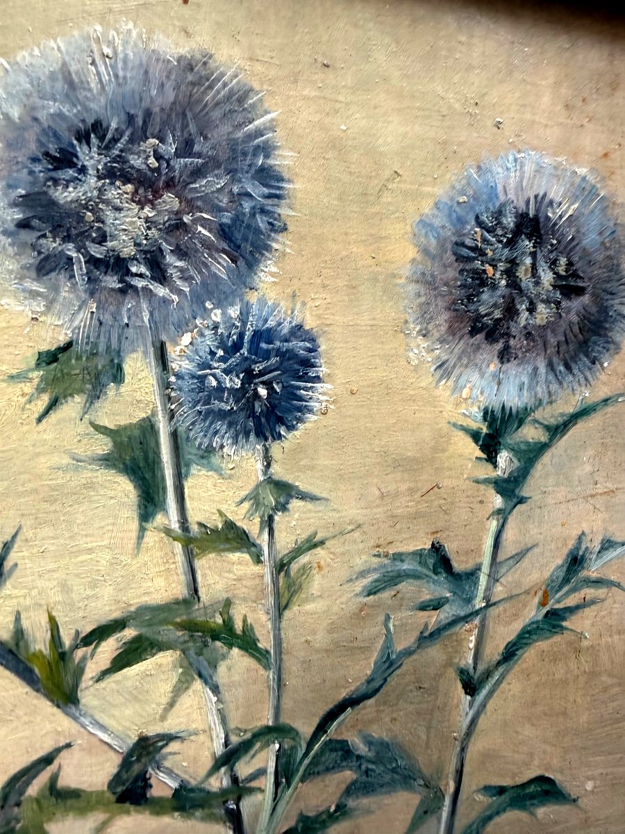 Fleurs de Chardons , huile/toile des années "60" bien encadrée: de Th. Franzoni , Galerie Cardo-photo-8