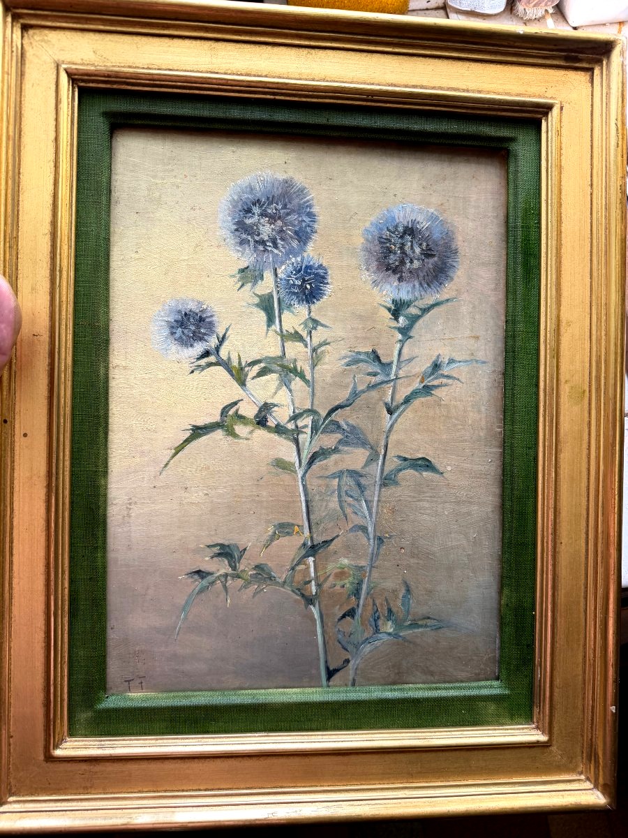 Fleurs de Chardons , huile/toile des années "60" bien encadrée: de Th. Franzoni , Galerie Cardo
