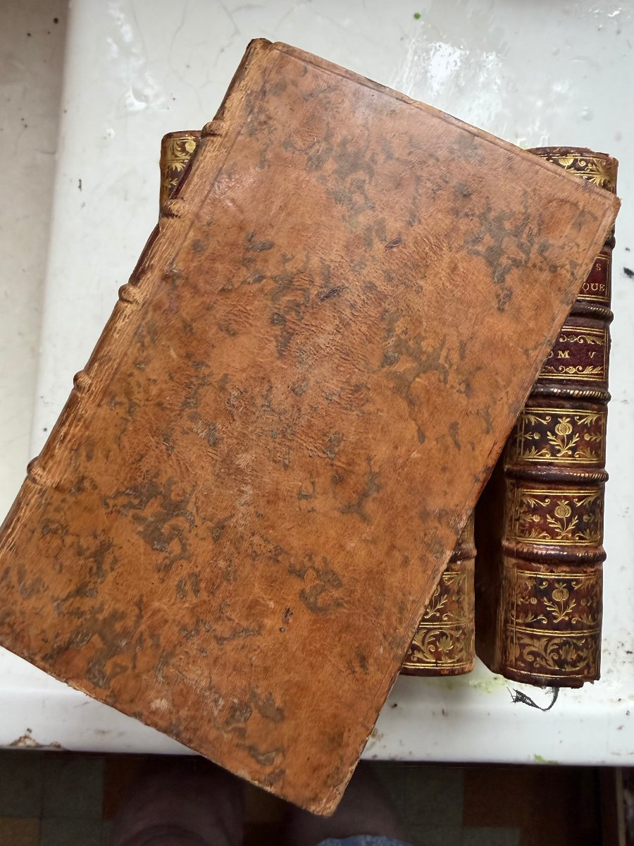 Lessons In Experimental Physics, By Abbé Nollet, 5 Vols., 12mo, Illustrated, Paris, 1754. 4th Ed.-photo-2
