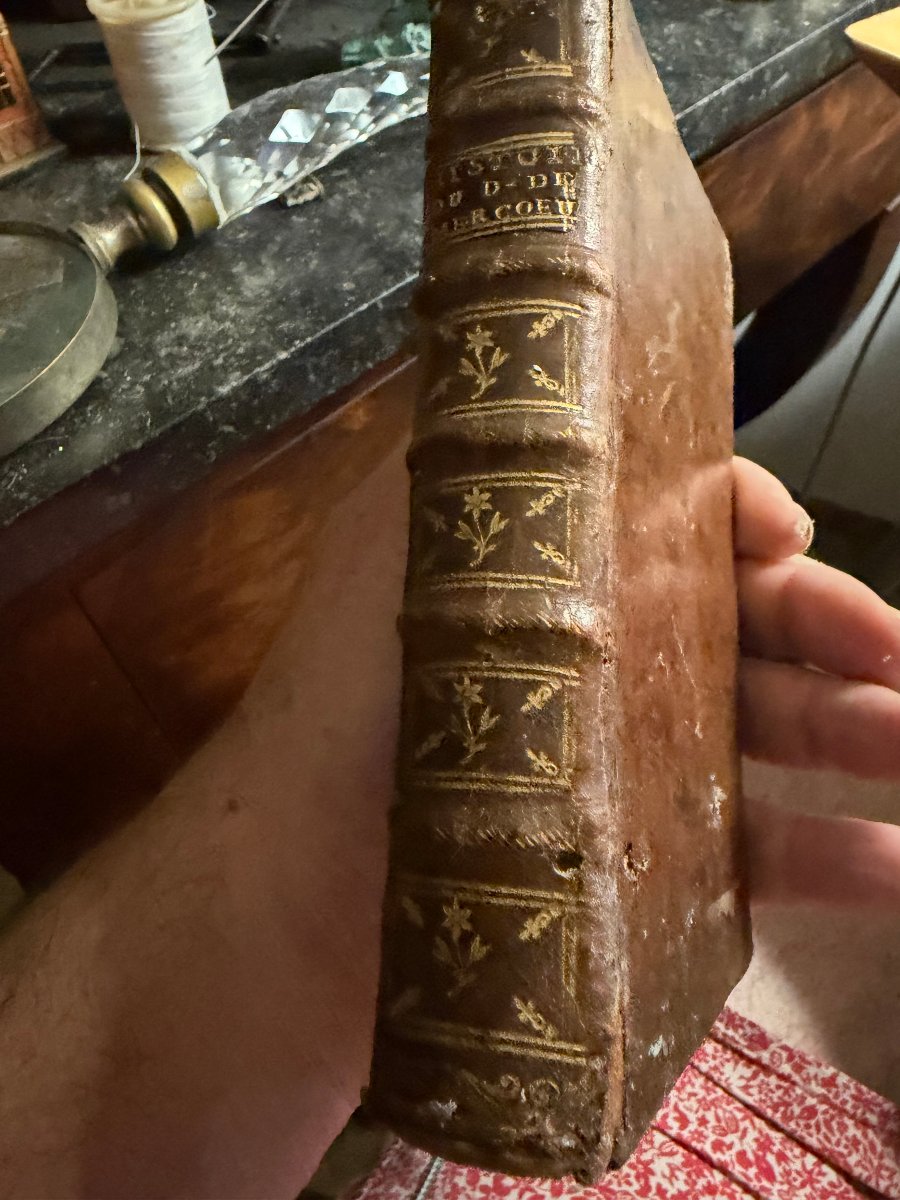 Vol In 12  :"L'Histoire de Filipe Emanuel de Loraine Duc de Mercoeur "Dédiée . A Cologne 1689 .-photo-3