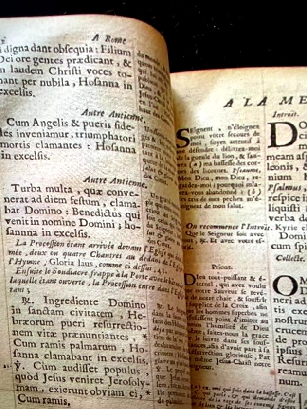 "coat Of Armes Of Louis XIV "  Binding Holy Week Rich Binding With Marocco Leater Trim-photo-2