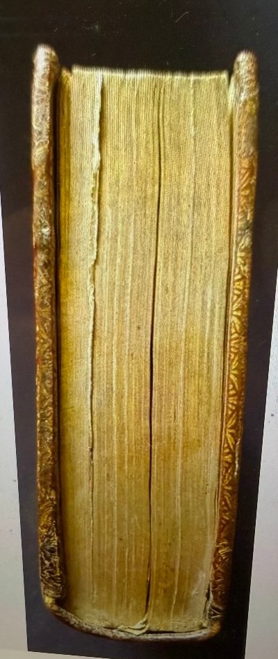 "coat Of Armes Of Louis XIV "  Binding Holy Week Rich Binding With Marocco Leater Trim-photo-4