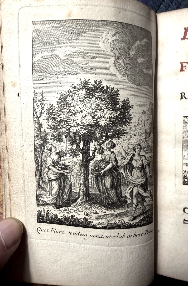 The Spirit Of Fontenelle, Or A Collection Of Thoughts Drawn From His Works, The Hague: P. Gosse, 1744-photo-3