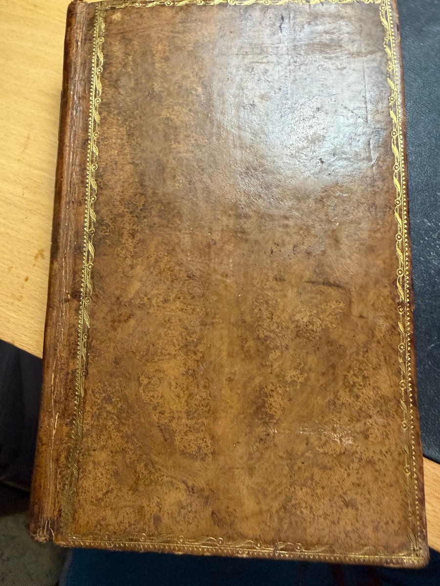 Précieux exemplaire In8. des "Morceaux extraits de l'Histoire Naturelle" de Pline . Paris 1785.-photo-3