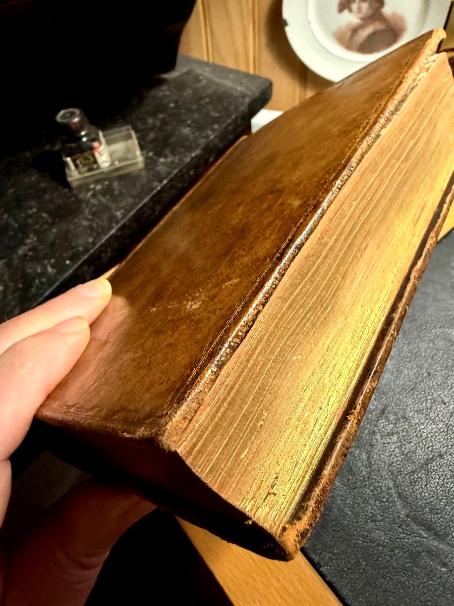 Précieux exemplaire In8. des "Morceaux extraits de l'Histoire Naturelle" de Pline . Paris 1785.-photo-8