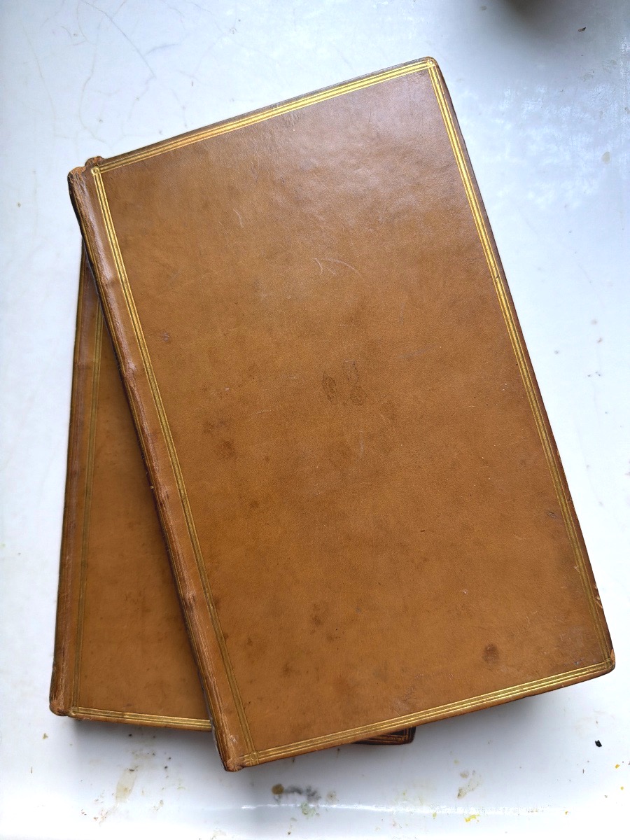 History Dix-huit Brumaire De Buonaparte