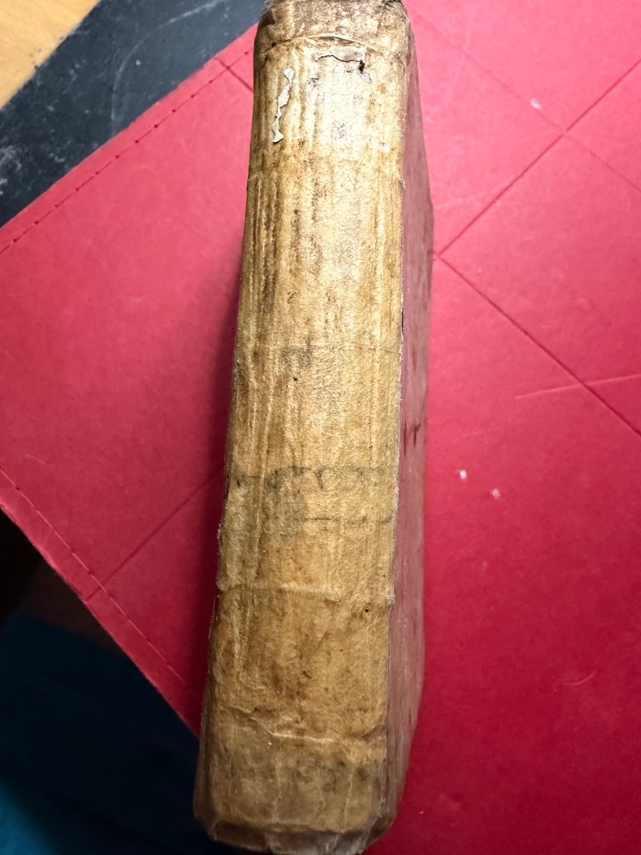 1 Vol In 16 en velin "Q. Curtii Rufi de Rebus Gestis Alexandri Magni" Historiarum .M; Raderii. -photo-3