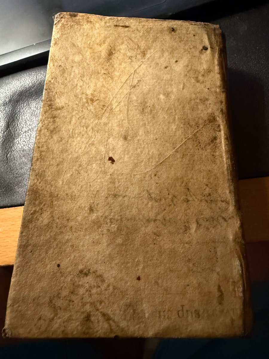 1 Vol In 16 en velin "Q. Curtii Rufi de Rebus Gestis Alexandri Magni" Historiarum .M; Raderii. -photo-4