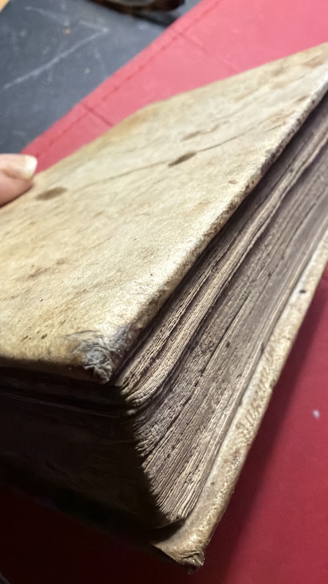 1 Vol In 16 en velin "Q. Curtii Rufi de Rebus Gestis Alexandri Magni" Historiarum .M; Raderii. -photo-1