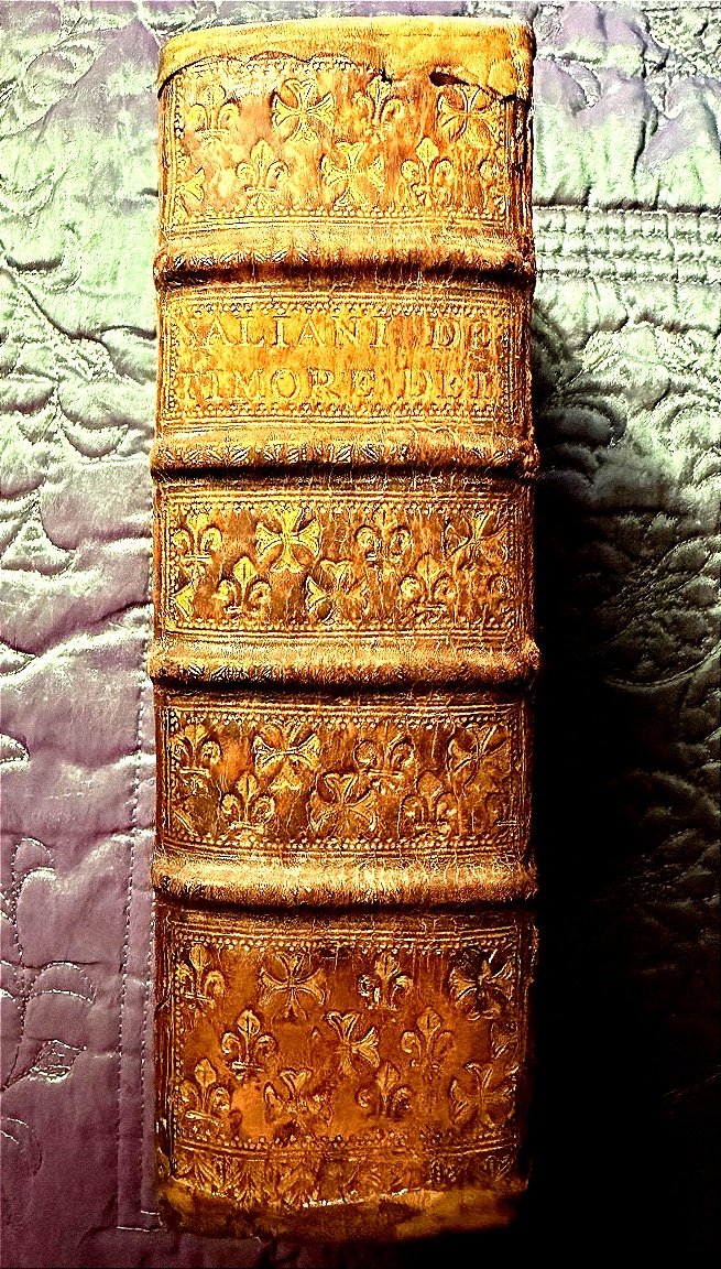 Fort Vol In12 : Reliure au Semis de  fleurs de lys et croix du Languedoc: "Iacobi Saliani" 1629-photo-4