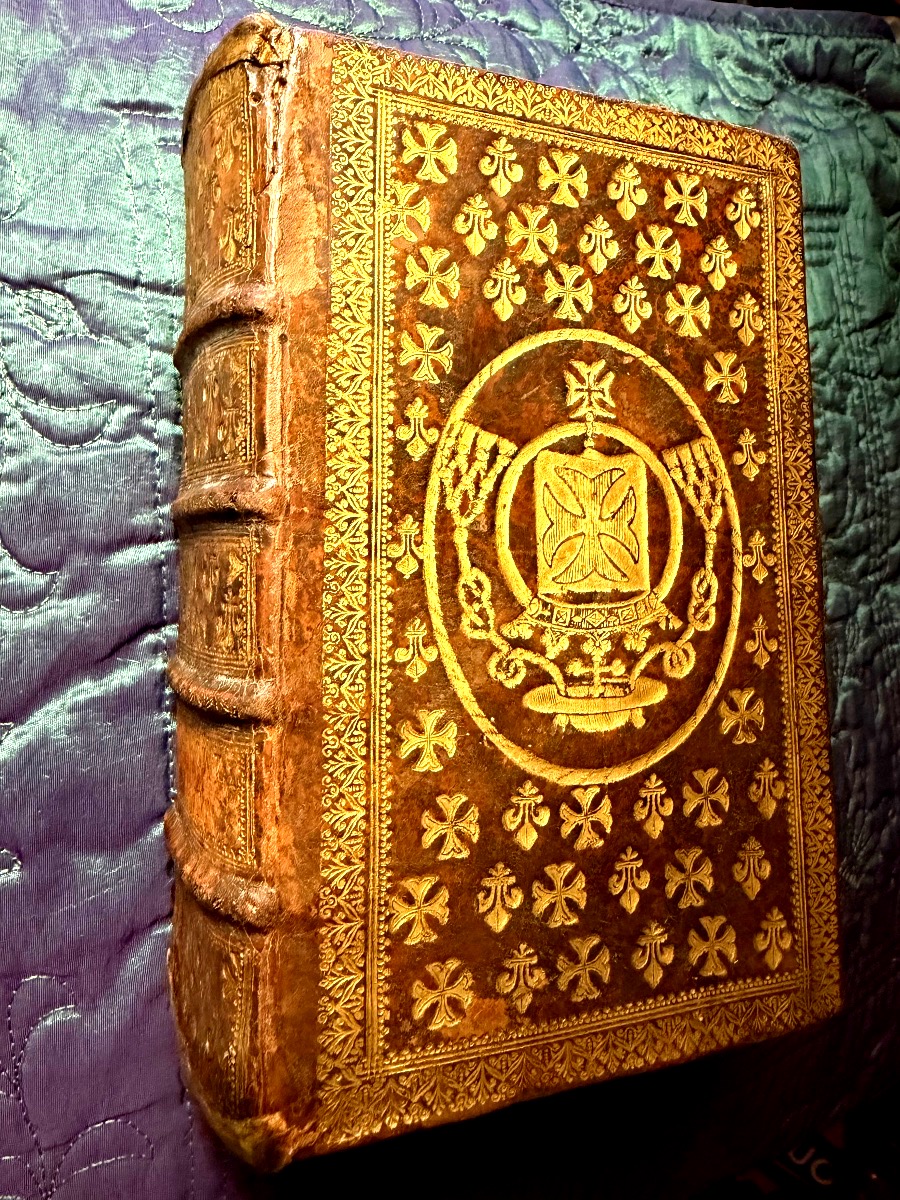 Fort Vol In12 : Reliure au Semis de  fleurs de lys et croix du Languedoc: "Iacobi Saliani" 1629-photo-2