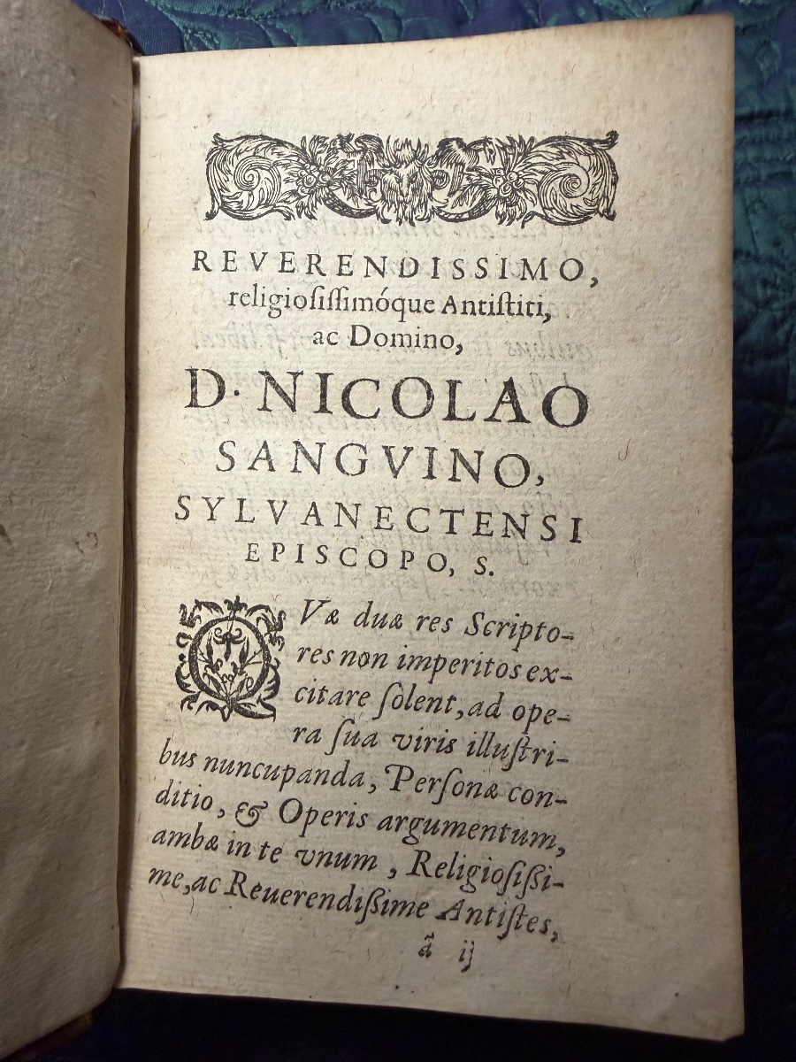 Fort Vol In12 : Reliure au Semis de  fleurs de lys et croix du Languedoc: "Iacobi Saliani" 1629-photo-2