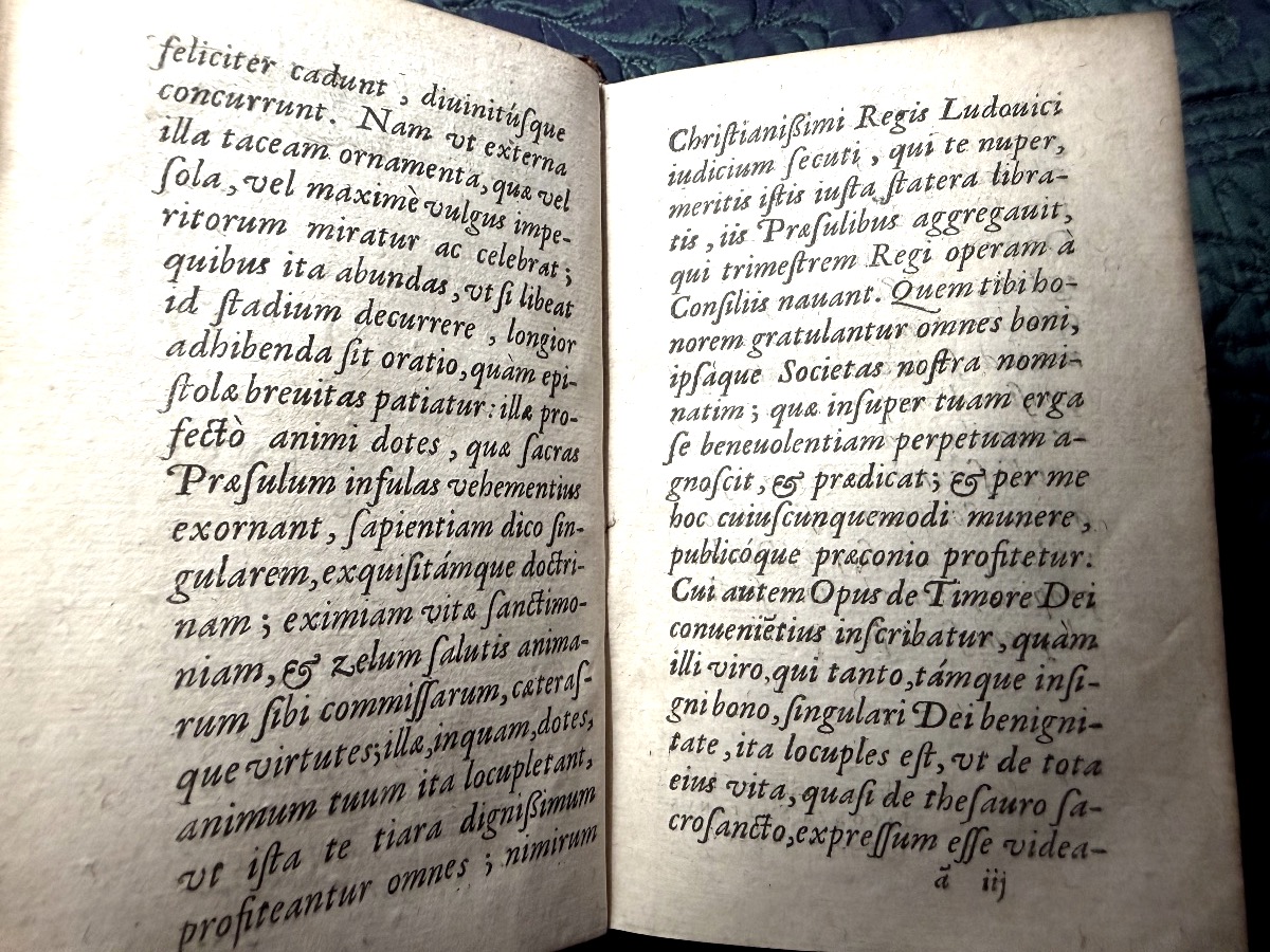 Fort Vol In12 : Reliure au Semis de  fleurs de lys et croix du Languedoc: "Iacobi Saliani" 1629-photo-3