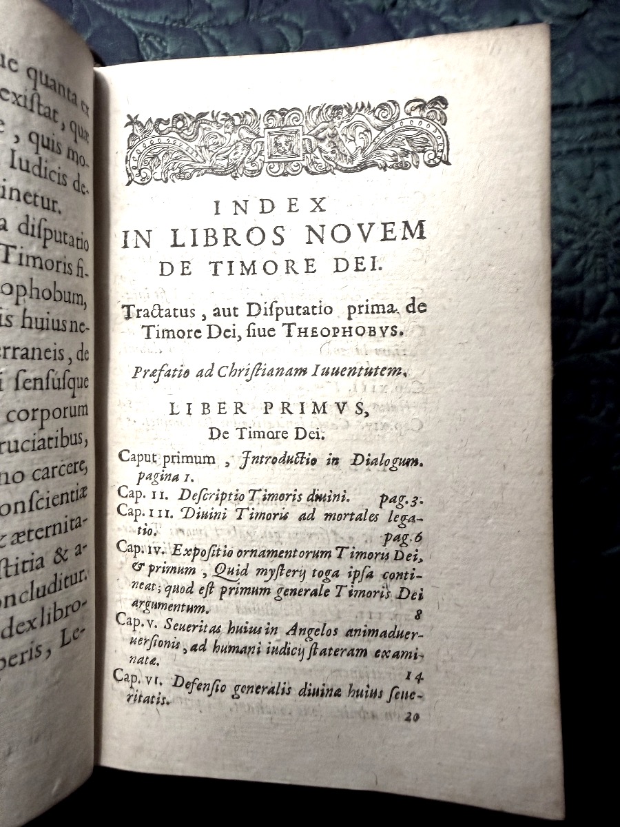 Fort Vol In12 : Reliure au Semis de  fleurs de lys et croix du Languedoc: "Iacobi Saliani" 1629-photo-5