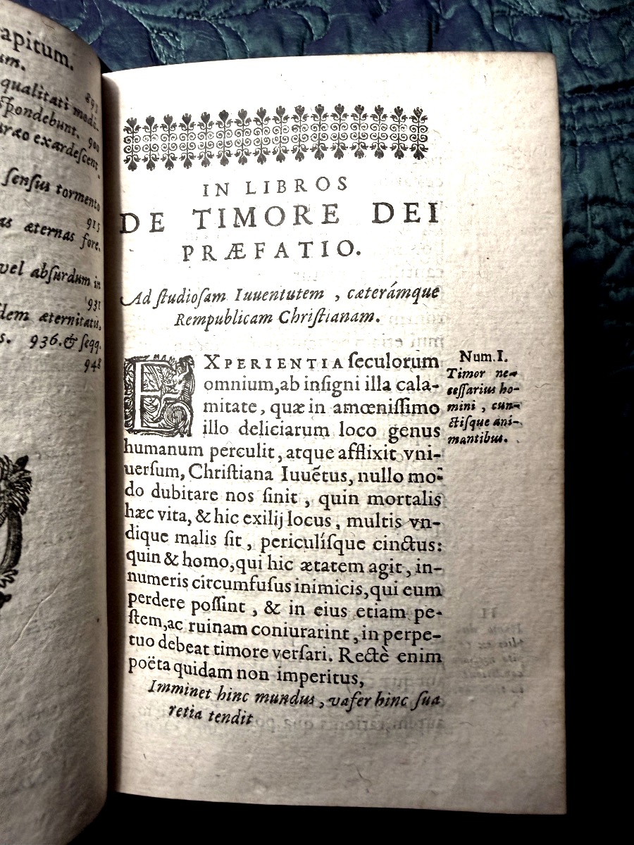 Fort Vol In12 : Reliure au Semis de  fleurs de lys et croix du Languedoc: "Iacobi Saliani" 1629-photo-6