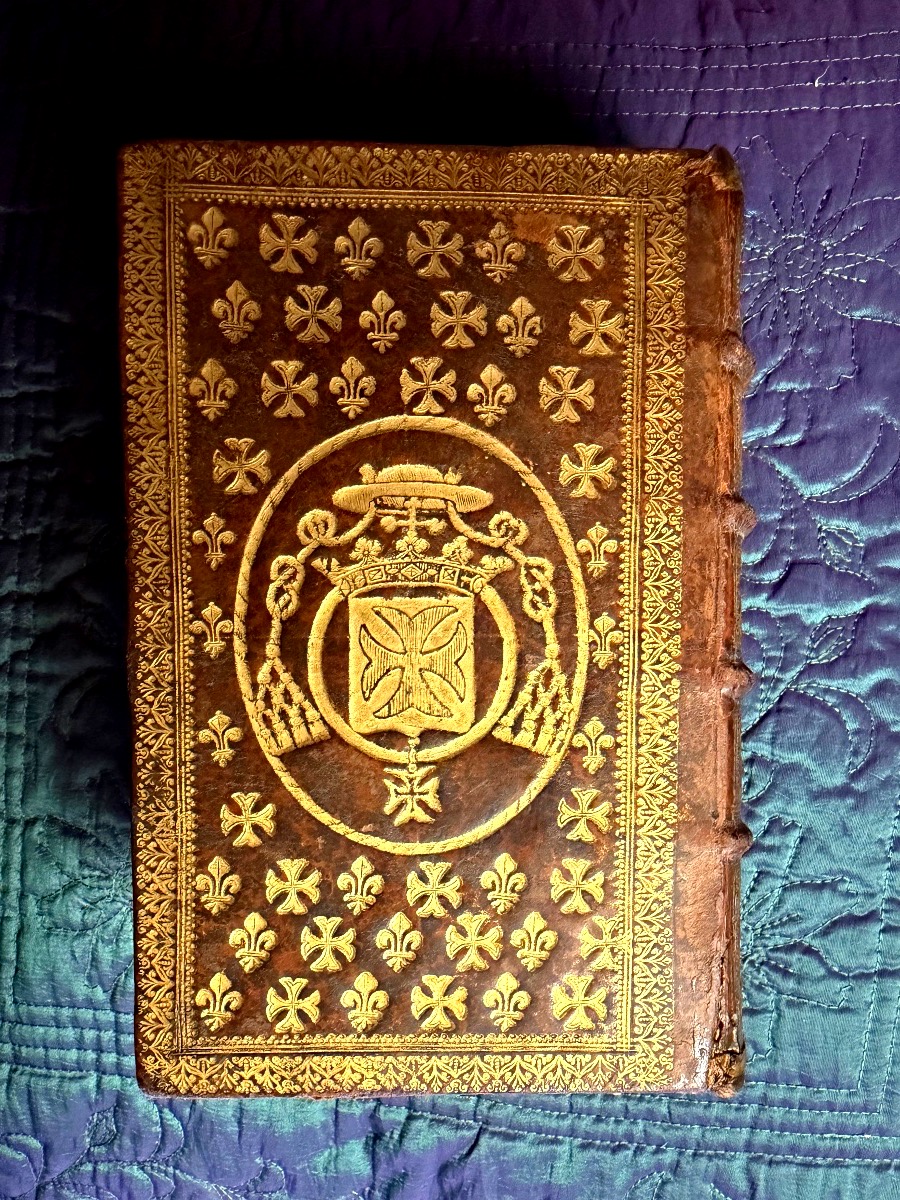 Fort Vol In12 : Reliure au Semis de  fleurs de lys et croix du Languedoc: "Iacobi Saliani" 1629